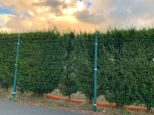 सुरक्षा वेल्डेड वायर मेष बाड़ संक्षारण कोटिंग 3 डी पैनल