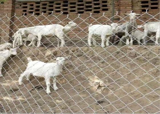 14 गेज 6 गेज मेटल चेन लिंक फेंसिंग लो कार्बन स्टील