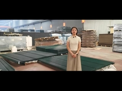 क्लियर व्यू ट्रेलिस स्पाइक्स सुरक्षा 358 एंटी क्लाइंब बाड़