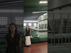 लोहे के फूस में एंटी क्लाइंब सुरक्षा बाड़ लगाना