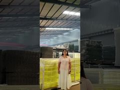 प्रबलित मिड-रेल के साथ प्रभाव-प्रतिरोधी एज प्रोटेक्शन बैरियर