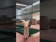 क्लियर व्यू ट्रेलिस स्पाइक्स सुरक्षा 358 एंटी क्लाइंब बाड़