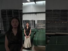 स्पष्ट दृश्य बाड़ विरोधी चढ़ाई सुरक्षा बाड़ फूस बनाना